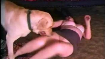 Pale hottie with a tight body gets fucked by a tired-looking dog