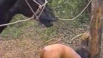 Outdoor zoo fuck with two brunettes and a horse
