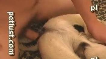 White doggy with black spots enjoys filthy bestiality anal