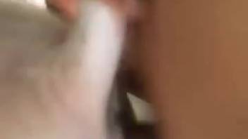 Intense animal sex porno film featuring close-up shots