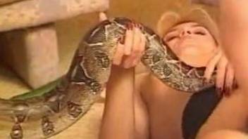 Two sexy babes having fun with a kinky snake