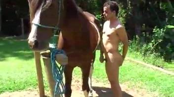 Petite Hispanic young man has his rear end penetrated by a stallion