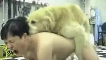 Rear entry pounding with the steamiest bitch whores