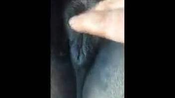 Guy wielding his dick to demolish a female horse's steamy cavity