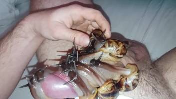 Guy's whole dick is coated in alluring snails