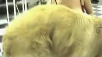 Stunning babe with real tits screwing a perverted pooch