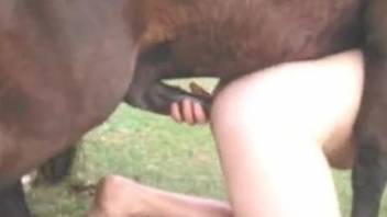 Brown horse carefully gaping that tight ass from behind