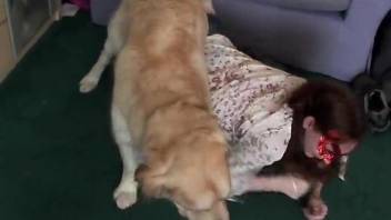 Clothed female fucked by hubby and licked by the dog
