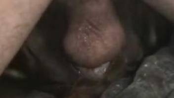 Dude's meaty cock buried deep inside of that pussy