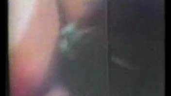 Remarkable vintage animal oral sex clip from a past epoch