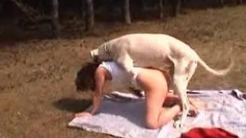 Outdoor masturbator finds a perfect dog to fuck