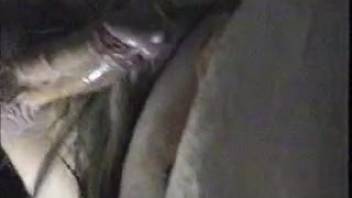 Extreme close-up of a guy banging a horse