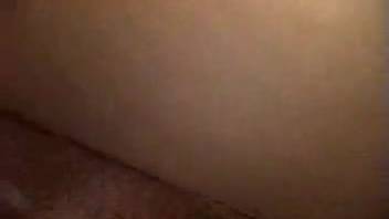 Juicy vagina torn apart by a hot canine dick