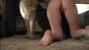 Dark-clad whore gets on her hands and knees to bang a dog