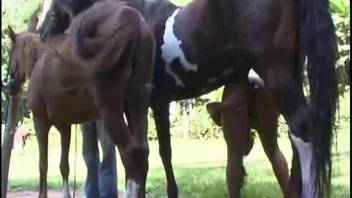 Outdoor equine erotica featuring a nude wife with a voluptuous rear