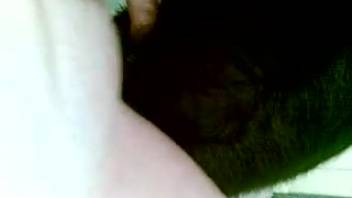 Well-endowed animal lover ravages this slut's narrow cunt