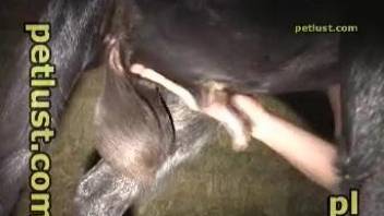 Horny guy sure needs to deep fuck with animals