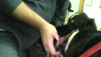 Dude throat-fucking a submissive black dog on camera