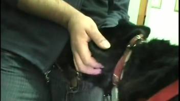 Guy performing deep throat on a submissive black dog while filming