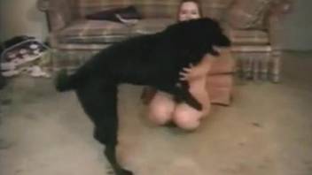 Curvy woman taped when trying sex with a dog