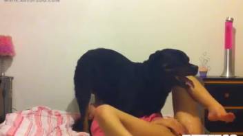 Young female teen performing fellatio on a canine's penis via live cam