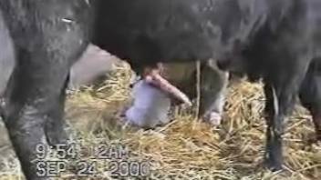 Incredible animal sex clip you'll totally love