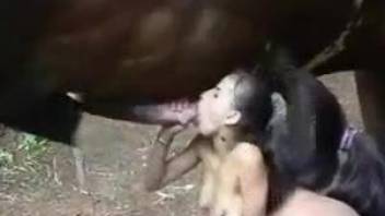 Sexy ass girl treats the horse with insane oral sex