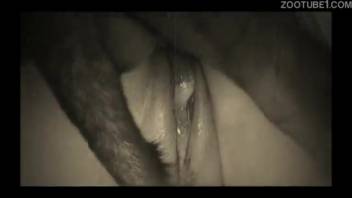 Black and white sex encounter featuring ample doggy style pounding