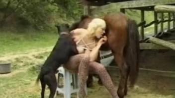Voluptuous fair-haired mother in a trio with a horse and a dog
