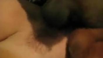 Canine tongues her thoroughly before screwing the bare lady
