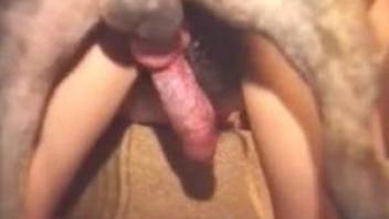 Naked sluts fucked by both a man and his dog