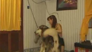 Redhead in striped stockings sucking a dog's cock