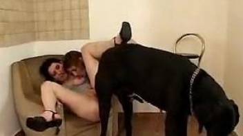 Hardcore dog porn for two extreme lesbians