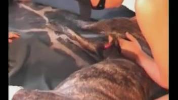 Voluptuous woman enjoys fondling the canine's penis