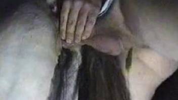 Dude with a thick cock fucking a horny mare from behind