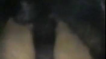Aroused animal enthusiast gets pounded in doggy style by a perverted pup