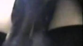 Canine wrecks lady's smooth-shaven vagina in steamy sequences