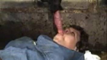 Enthusiastic older woman expertly performs oral sex on the horse's penis with perfect skill