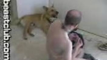 Filthy petite whore savoring intense bestiality with a canine
