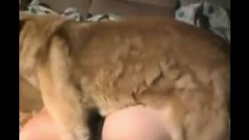 Curvy blonde babe getting pounded roughly doggy style