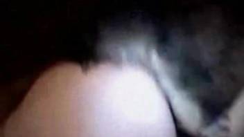 Furry dog penetrates woman's pussy in kinky modes