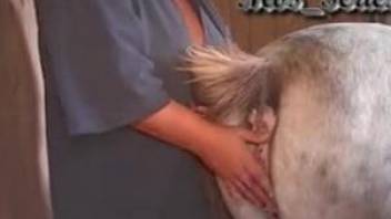 Mullet mommy eating horse pussy before fucking