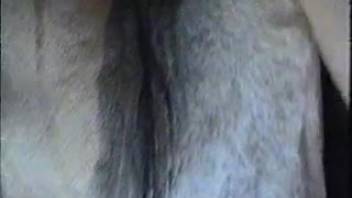 Late-night equine adult content featuring a nude novice male