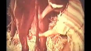 Vintage footage showcasing standard and animal-involved intercourse
