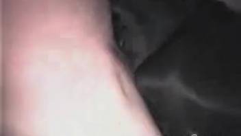 Guy with his rock-hard cock pounding horses intensely