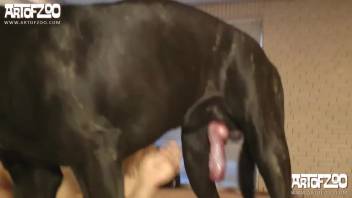 Blonde woman with a mask being screwed by a dark dog