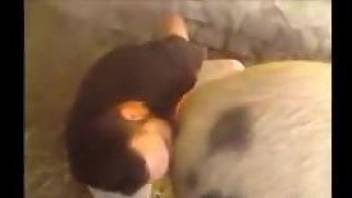 Dude eating pig pussy in a hot porno video