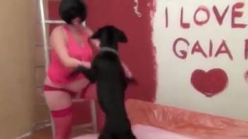 Backdoor pounding with a knocked-up babe in a wig