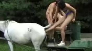 Dirty group sex with a hot female horse unfolds outside