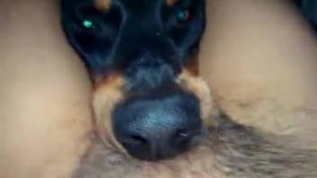 Guy ramming his dick down a dog's throat until it begins choking
